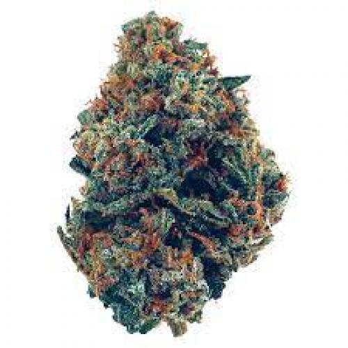 LA Skittles – AAA   80% Indica / 20% Sativa – THC 15-18%