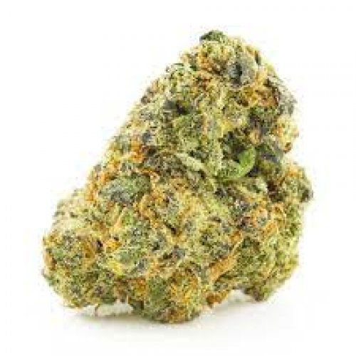 NEW! Bubba&#039;s Bitch - AAAA - Indica Dominant 70% Indica / 30% Sativa - THC 34%