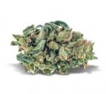 NEW! Blue Fromage - A - Indica Dominant - THC 17-23%