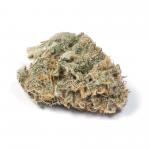 NEW! Violet Delight - AA - 70% Indica /30% Sativa - THC 24-27%